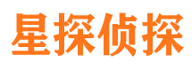 武平市调查公司